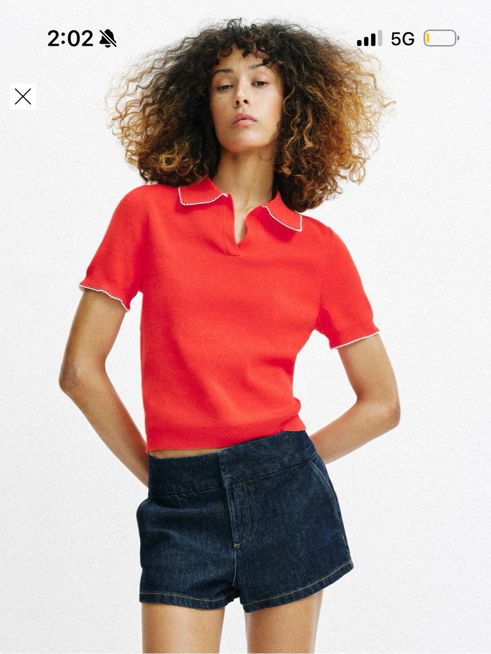 ZARA Contrast Lace Knit Polo Shirt